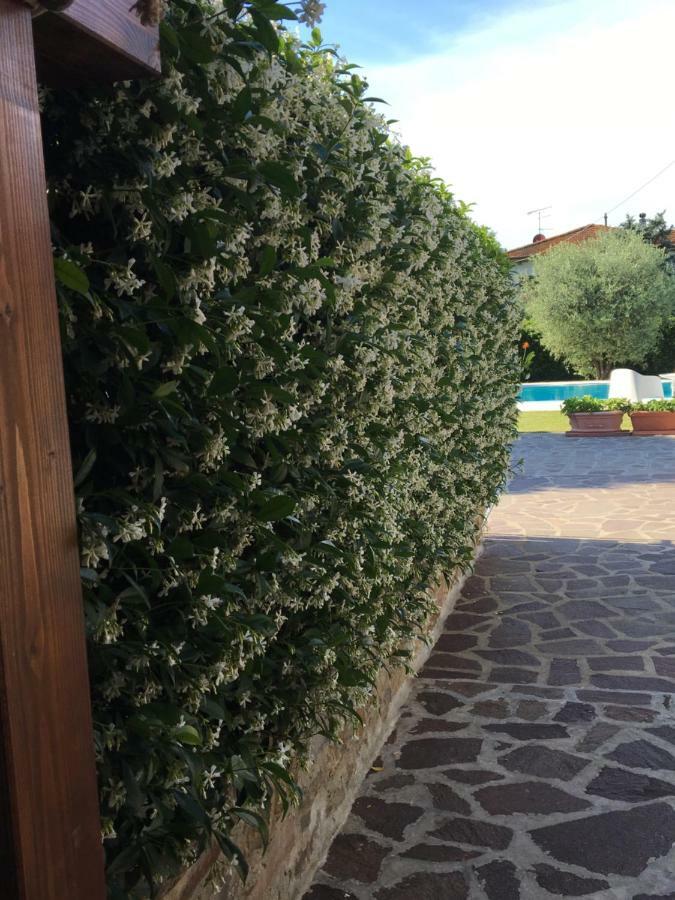 Casa Pietra Del Sole Villa Lucca Eksteriør billede